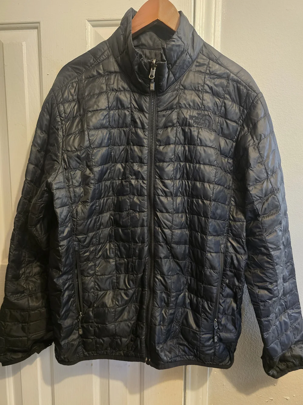 The North Face Men’s Black Quilted Jacket...VERY THIN JACKET